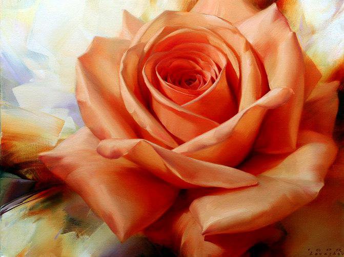 №734063 - цветок, роза - оригинал