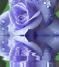 Схема вышивки «цветы»