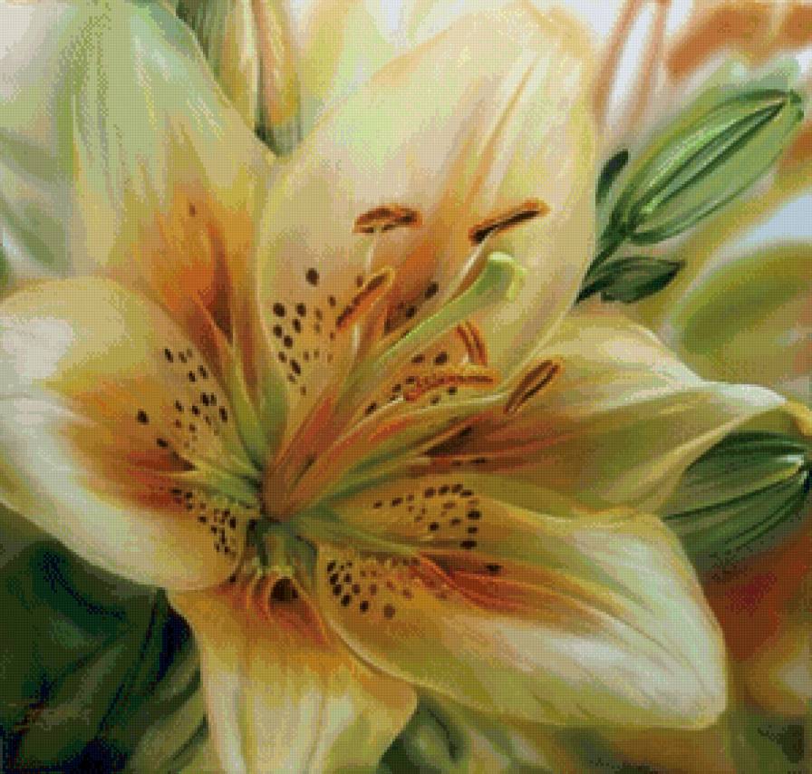 Серия Цветы - цветы - предпросмотр