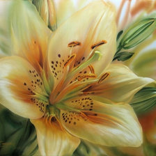 Схема вышивки «Серия Цветы»