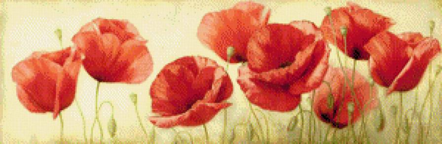 Волшебные маки_2 - цветы, картина, маки - предпросмотр