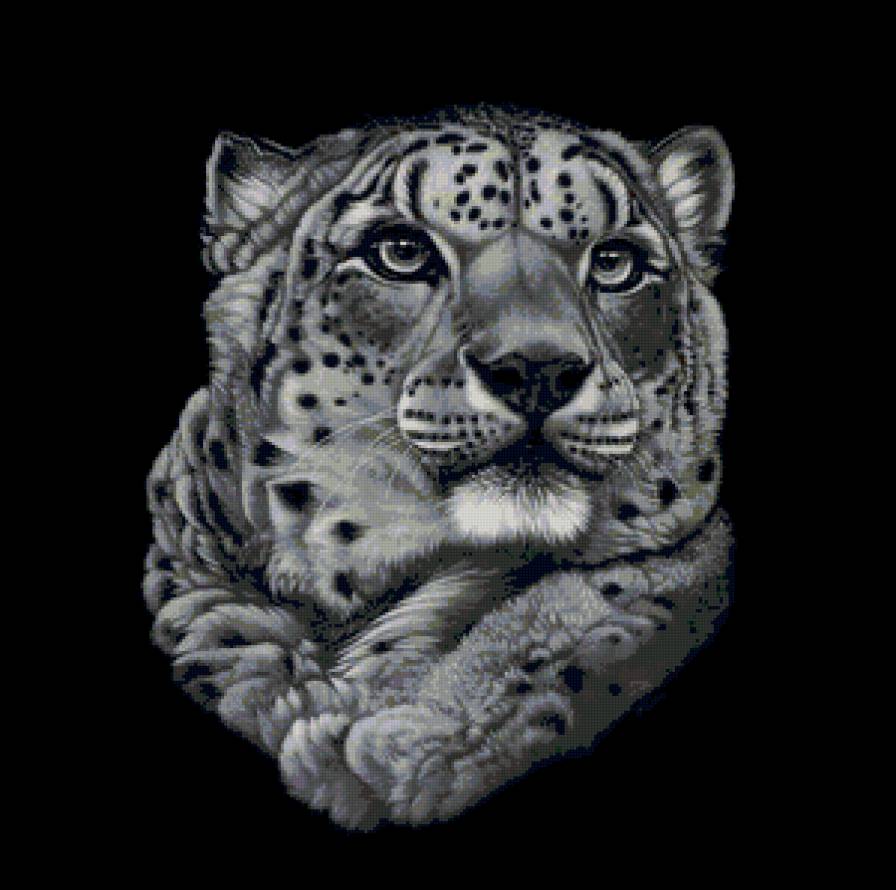 большая кошка - мир животных - предпросмотр