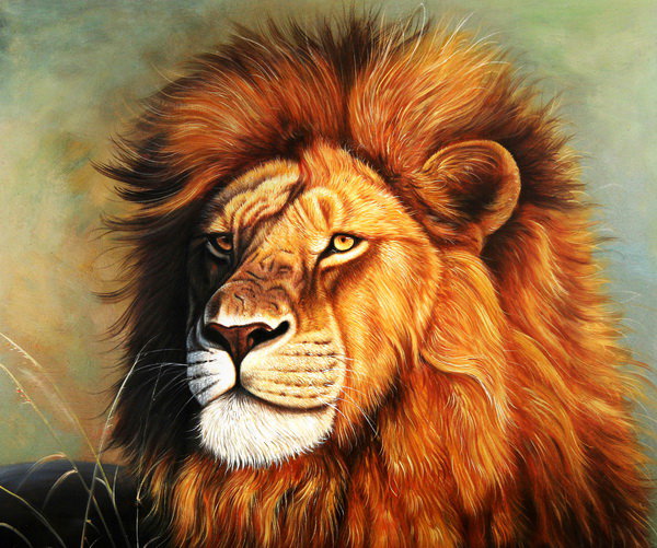 царь зверей - мир животных - оригинал