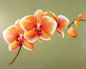 Орхидея оранжевая - орхидея, цветы - оригинал