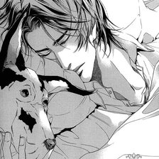 Схема вышивки «сон»