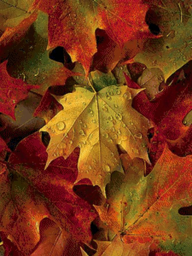 осень - листья - предпросмотр