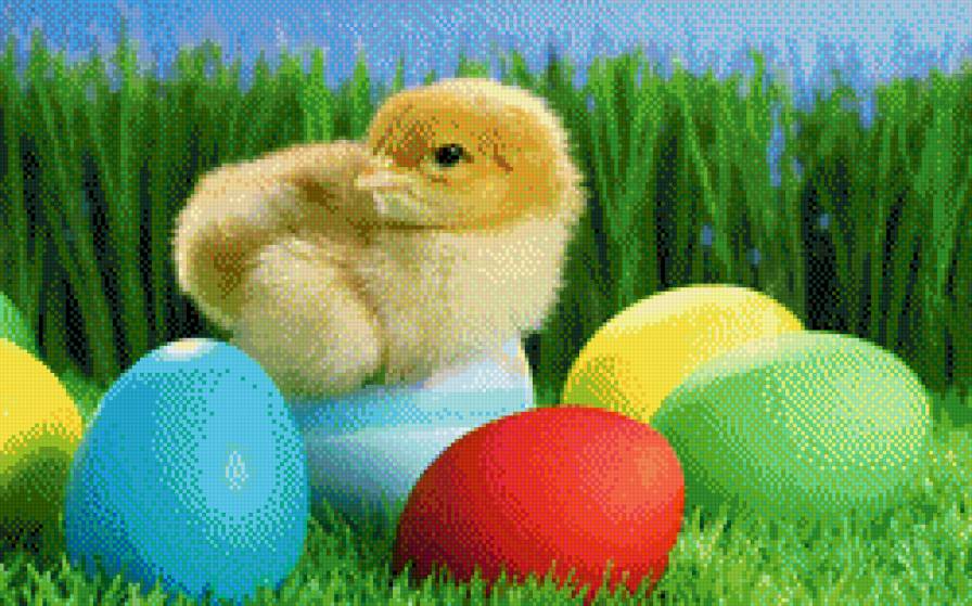 Пасхальный цыпленок - пасха.яйцо.цыпленок - предпросмотр