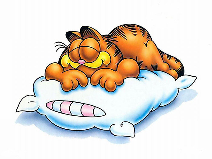 Бездельник - кот.сон - оригинал