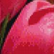 Предпросмотр схемы вышивки «Розовые тюльпаны» (№734875)