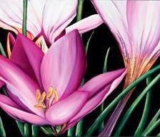 Схема вышивки «№734881»