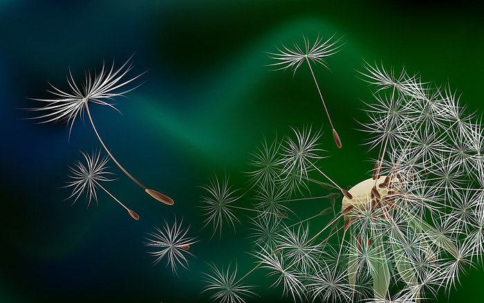 Одуванчики - цветы - оригинал