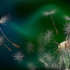 Схема вышивки «Одуванчики»