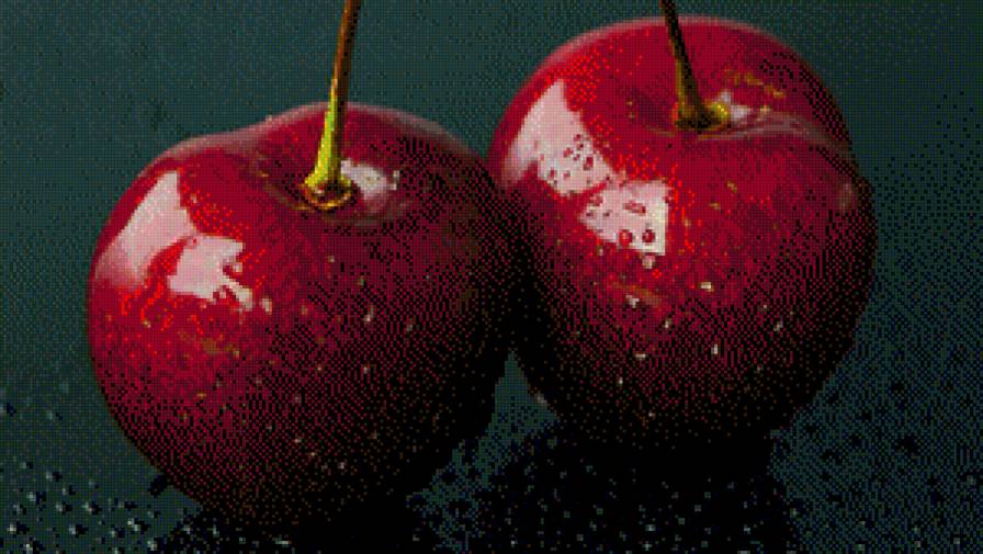 Вишни - предпросмотр