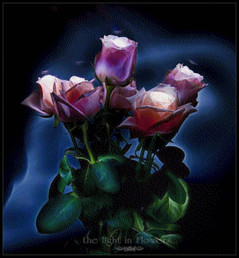 Розы - предпросмотр