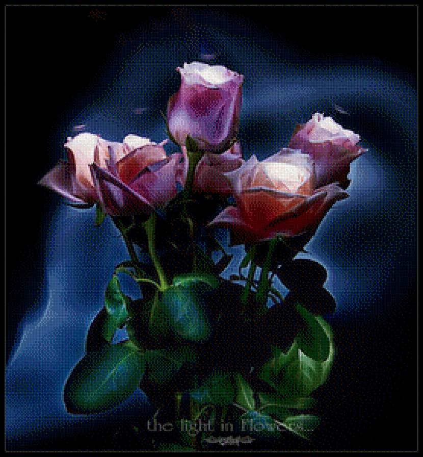 Розы - предпросмотр