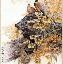 Схема вышивки «фазаны»