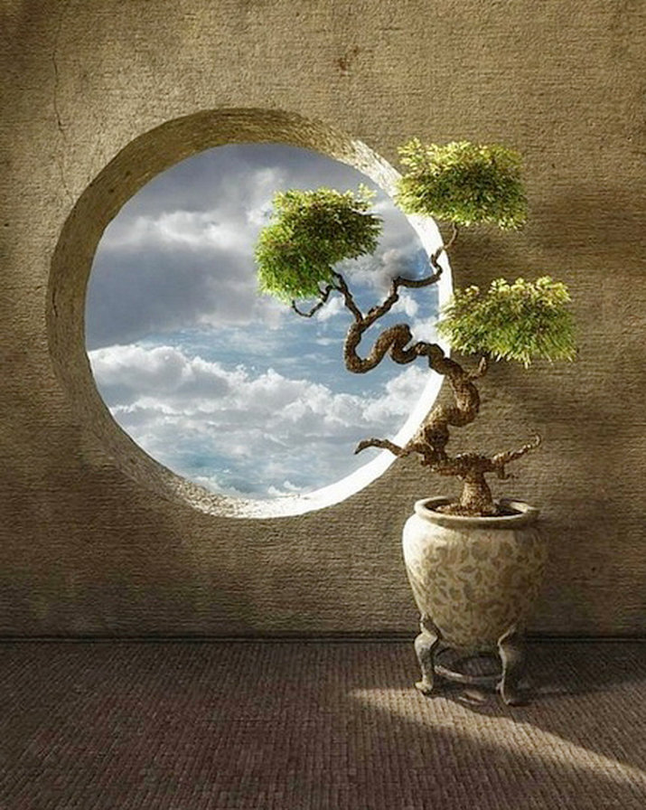 бонсай1 - оригинал