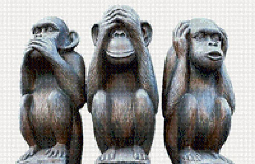 Подружки.. - животное, обезьяна - предпросмотр