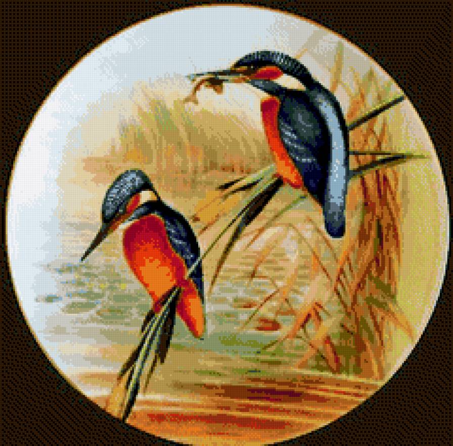 Птицы в кругу 1. - предпросмотр