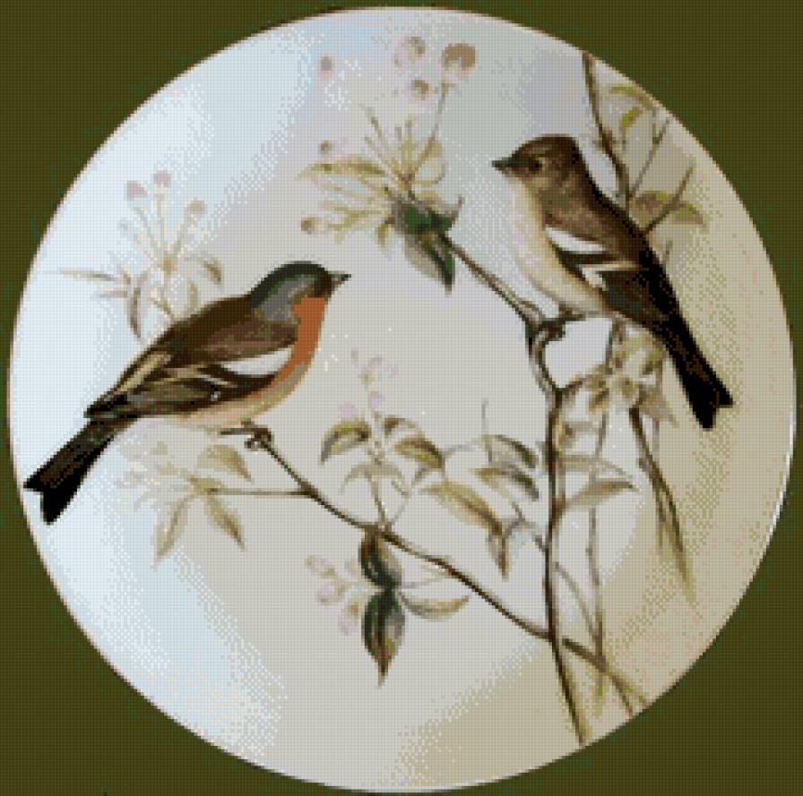 Птицы в кругу 3. - предпросмотр