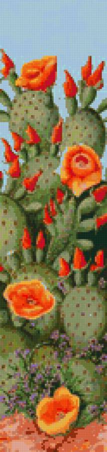 Cactus - предпросмотр