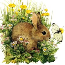 Схема вышивки «панно кролик»