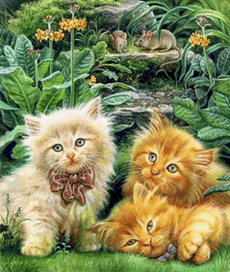 котята - кошка, животные, котята - оригинал