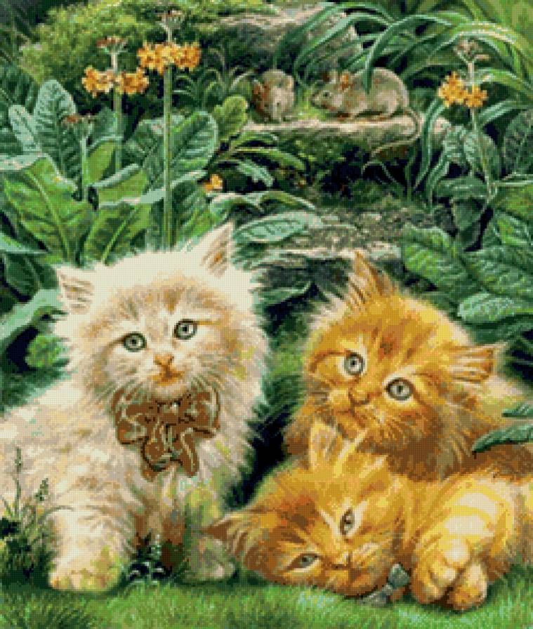 котята - котята, животные, кошка - предпросмотр