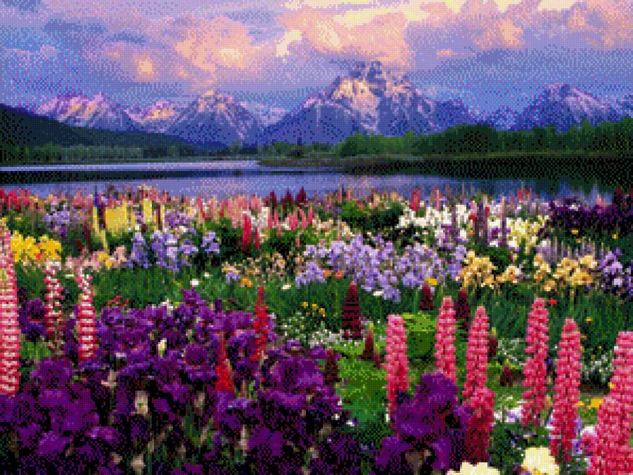 cvetochnaja dolina - предпросмотр