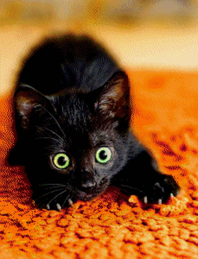 котик - предпросмотр