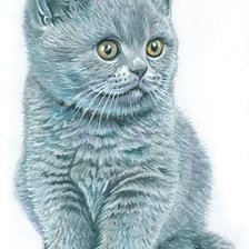Оригинал схемы вышивки «котенок» (№736004)