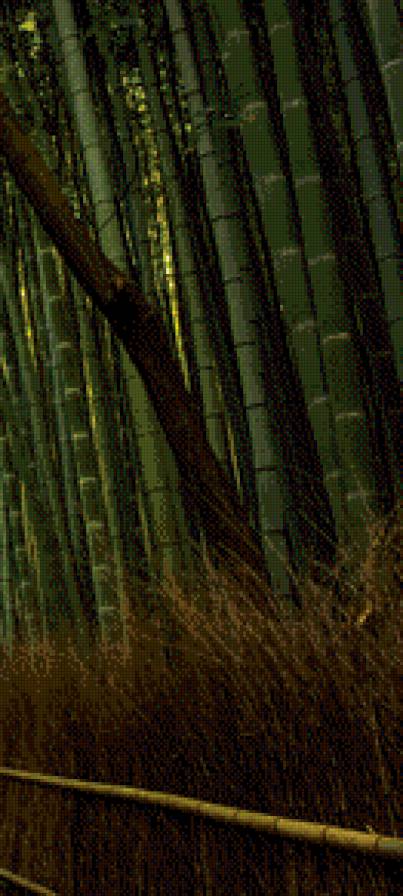 бамбуковая перспектива (справа) - бамбук - предпросмотр