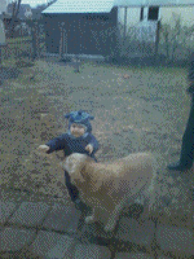 vbibr - предпросмотр