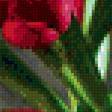 Предпросмотр схемы вышивки «Тюльпаны» (№736583)