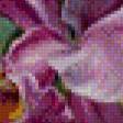 Предпросмотр схемы вышивки «Цветы 1» (№736618)