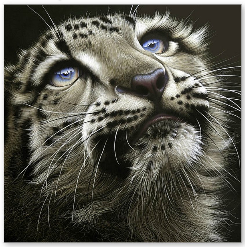 Кисуля - мир животных(хищники) - оригинал