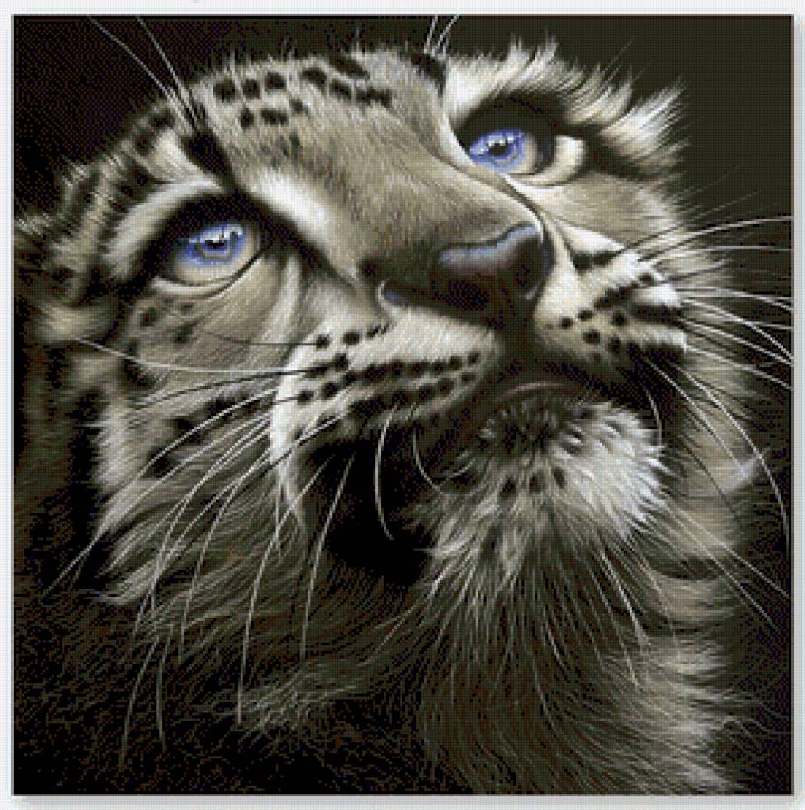 Кисуля - мир животных(хищники) - предпросмотр