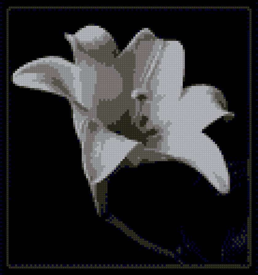 №736848 - предпросмотр