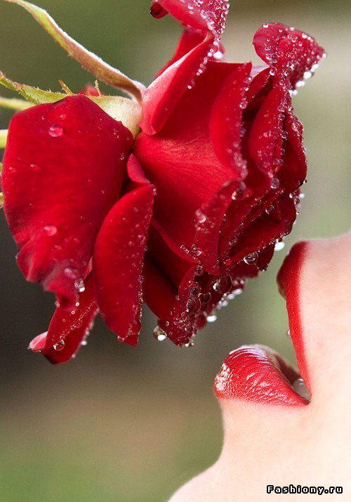 №737103 - оригинал