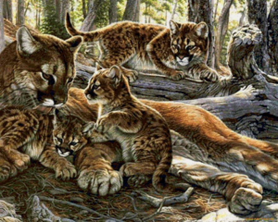 Мама с детками - кошки, животные - предпросмотр