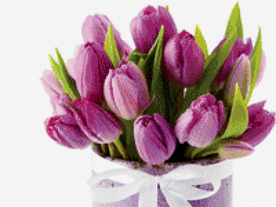 букет тюльпанов - цветы - предпросмотр