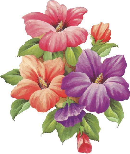 серия "гибискус" - цветы.гибискус - оригинал