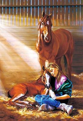 №737381 - оригинал