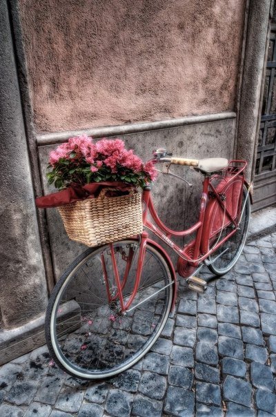 Велосипед с цветами - цветы, велосипед, стена - оригинал