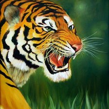 Схема вышивки «тигруля»