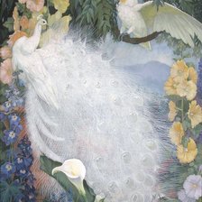 Схема вышивки «Павлин»