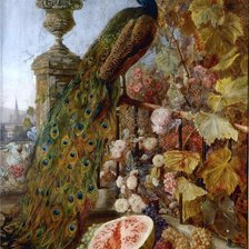 Схема вышивки «Павлин»