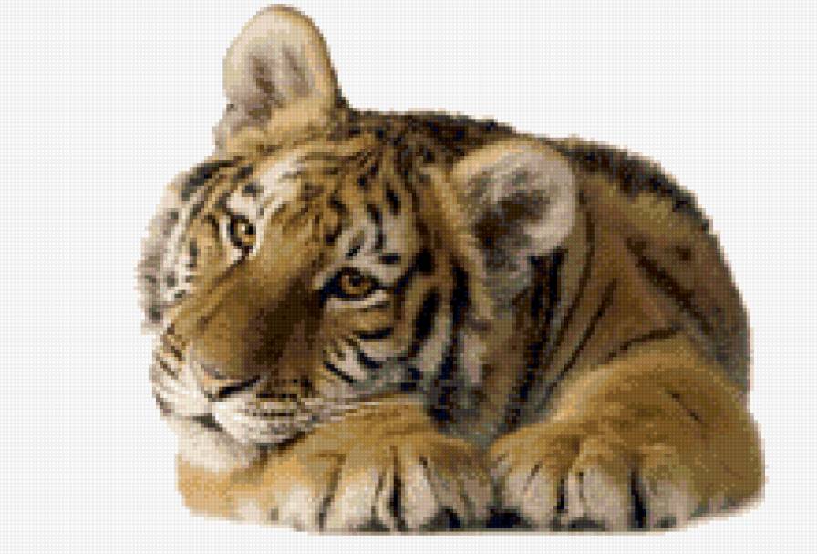 Тигренок - животные - предпросмотр