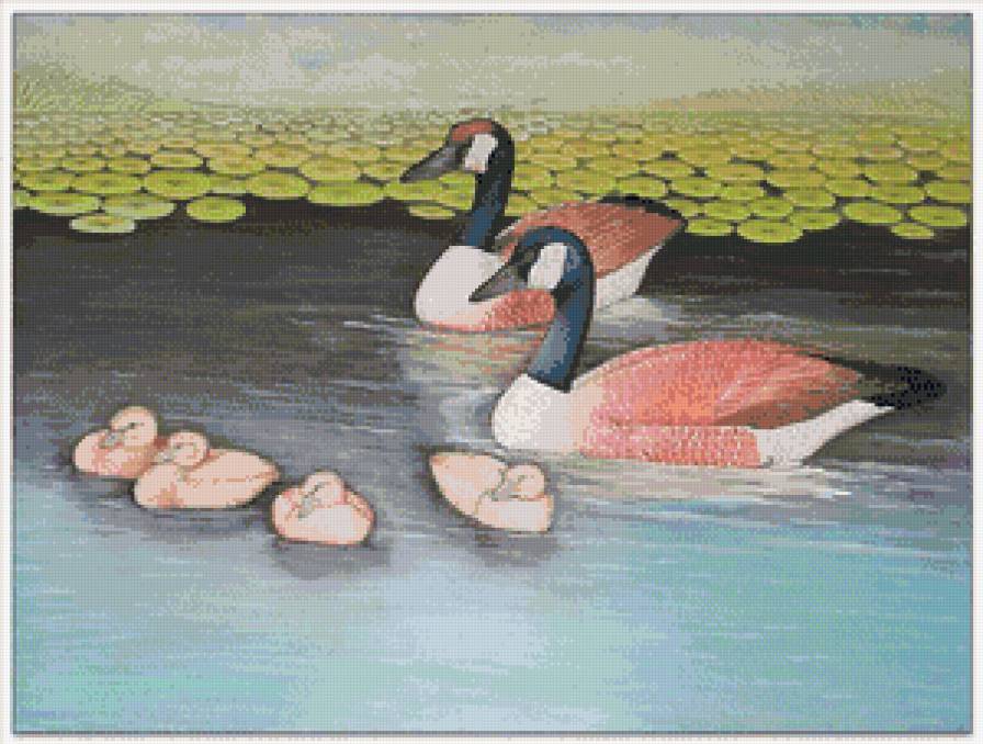 Семейство. - предпросмотр