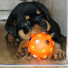 Схема вышивки «животные»